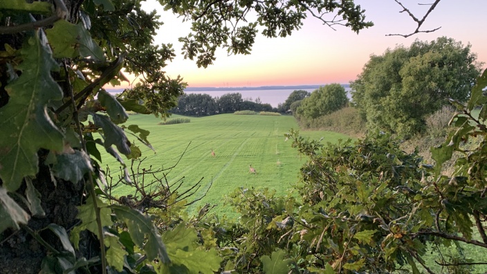 Klima und Umwelt